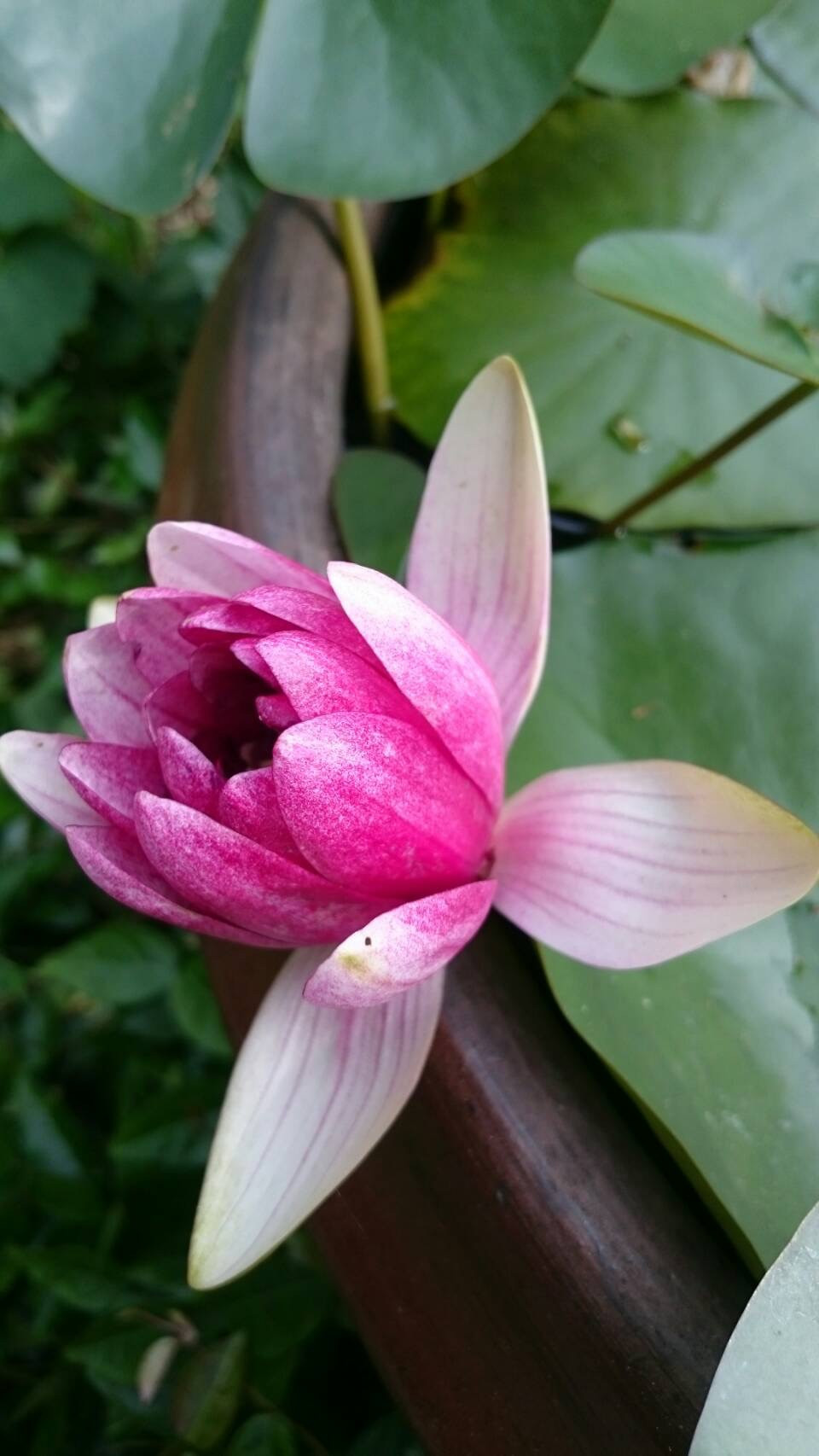 高齢者会館での歌のレッスン